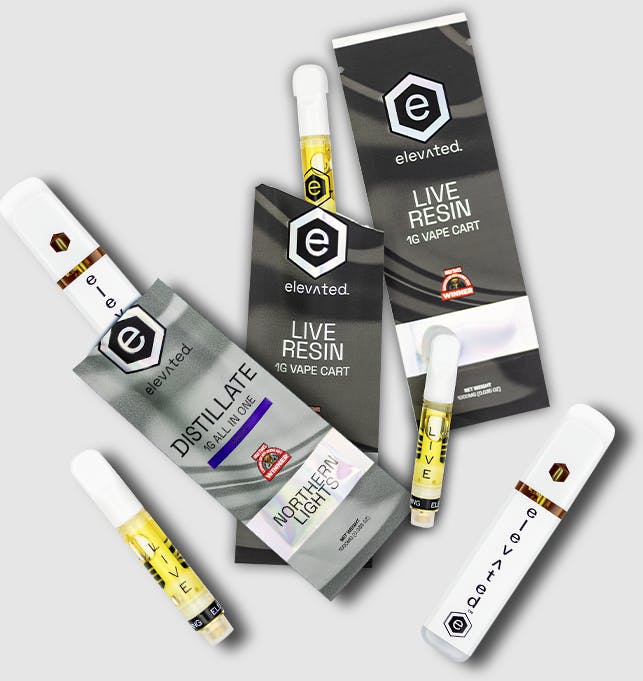Elevated Labs - Strawberry Guava | Distillate Disposable | 1g - 1