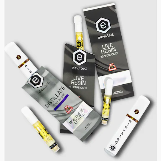Elevated Labs - Strawberry Guava | Distillate Disposable | 1g - 1