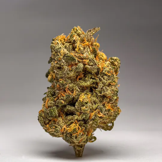 Doctor Reefer - Doctor Reefer | Supreme Dream | 3.5G | Indoor Flower - 1