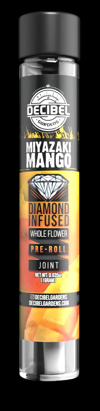 Decibel Gardens - Miyazaki Mango | Infused Joint | 1g - 1