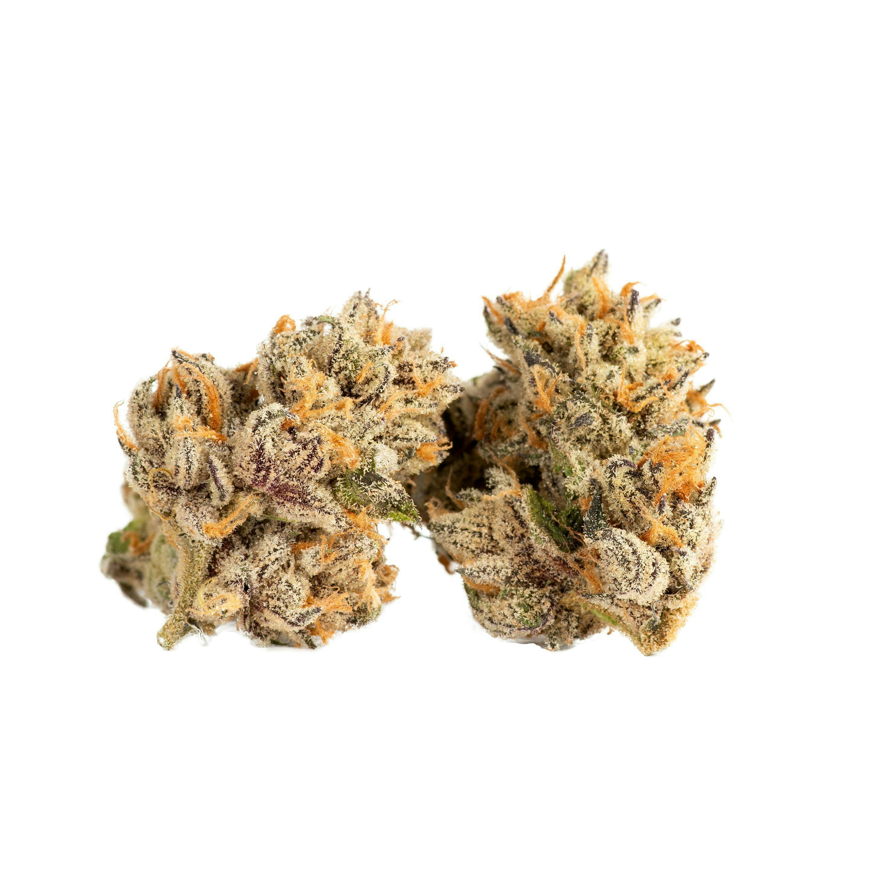 Decibel Gardens - Grapevine Gasoline | Indoor Flower | 1g - 1