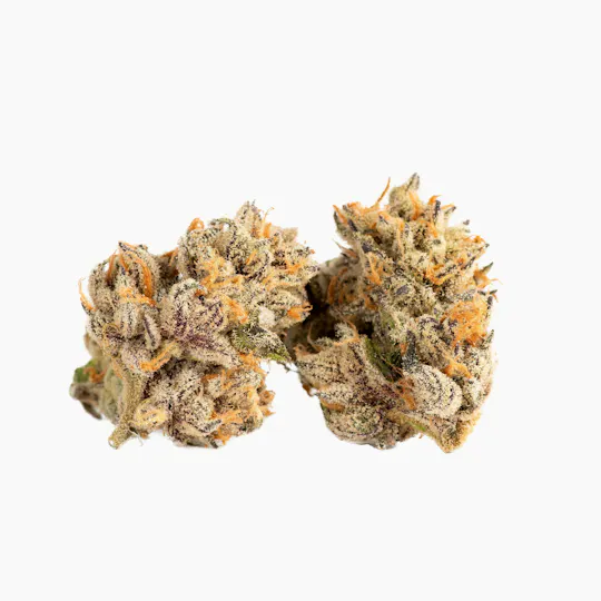 Decibel Gardens - Grapevine Gasoline | Indoor Flower | 1g - 1
