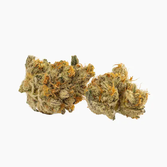 Decibel Gardens - Golden Kiwi | Indoor Flower | 1g - 1