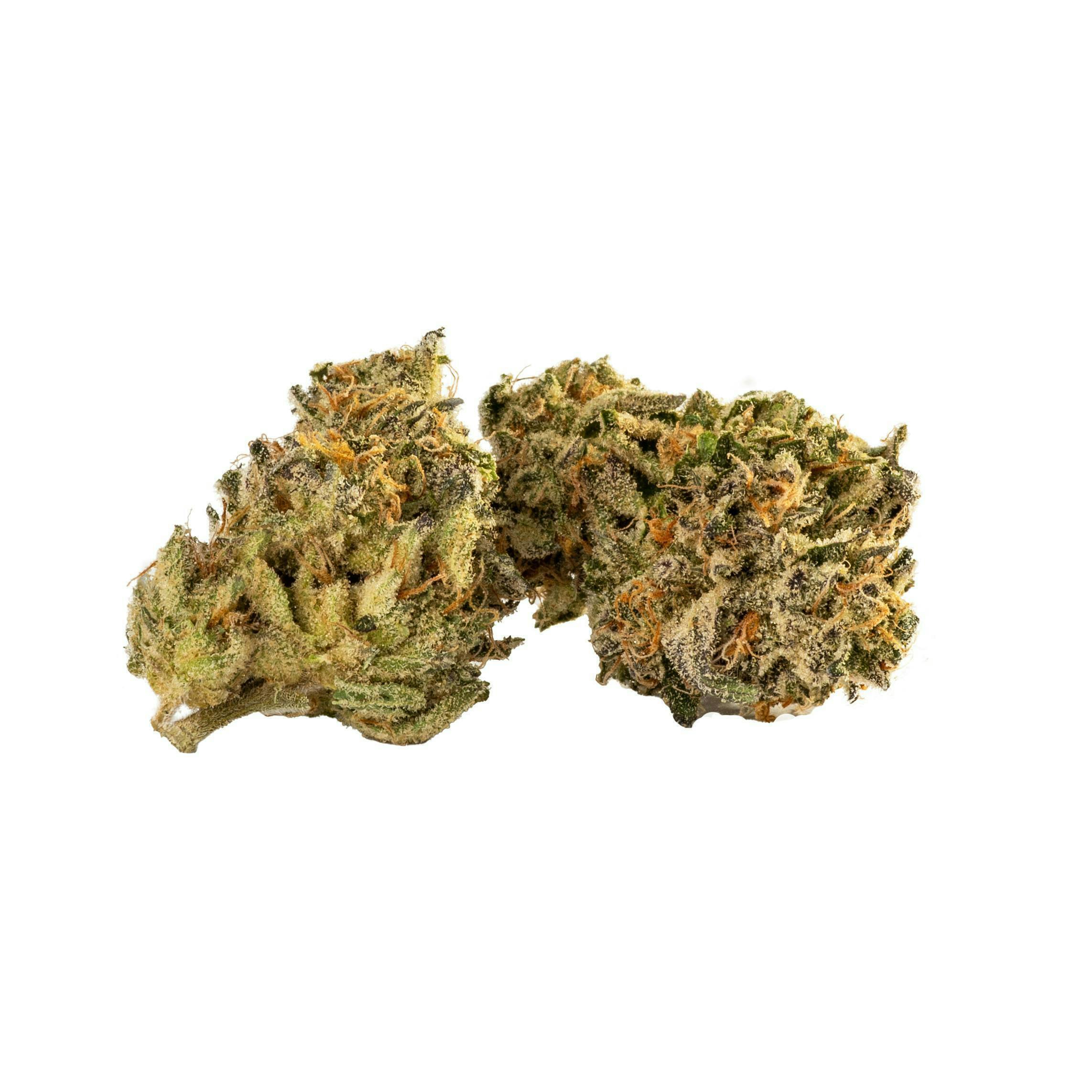Decibel Gardens - Citric Acid | Indoor Flower | 1g - 1