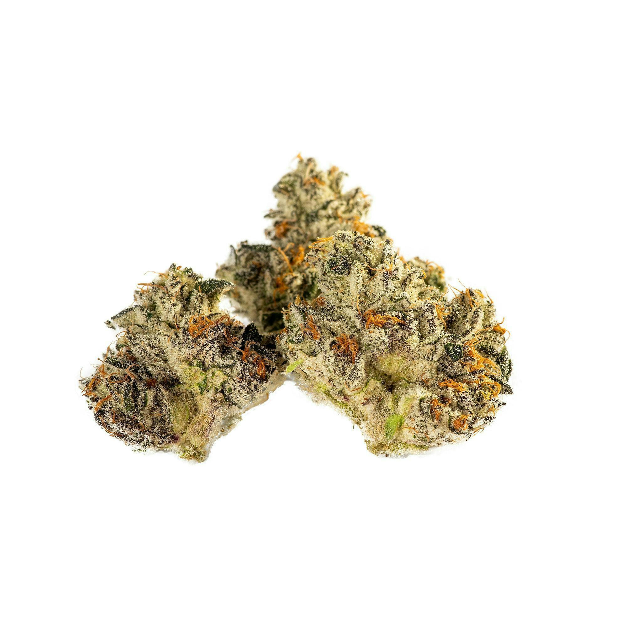 Decibel Gardens - C-Note | Indoor Flower | 1g - 1