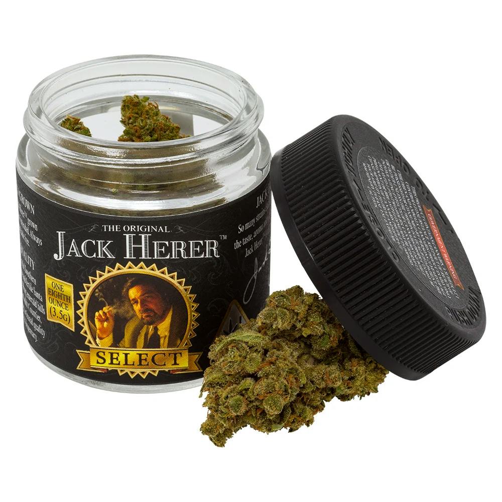 Jack Herer™ Brands - Jack Herer Select | Big Buds Jar | 3.5g - 1