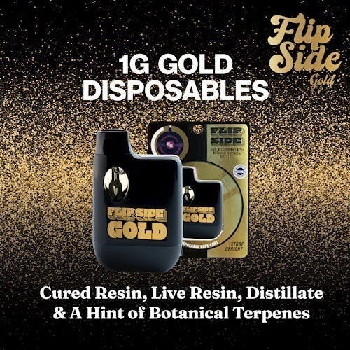 Flip Side - Tangie Banana | Gold Disposable | 1g - 1