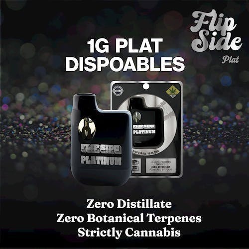 Flip Side - Trainwreck | Platinum Disposable | 1g - 1