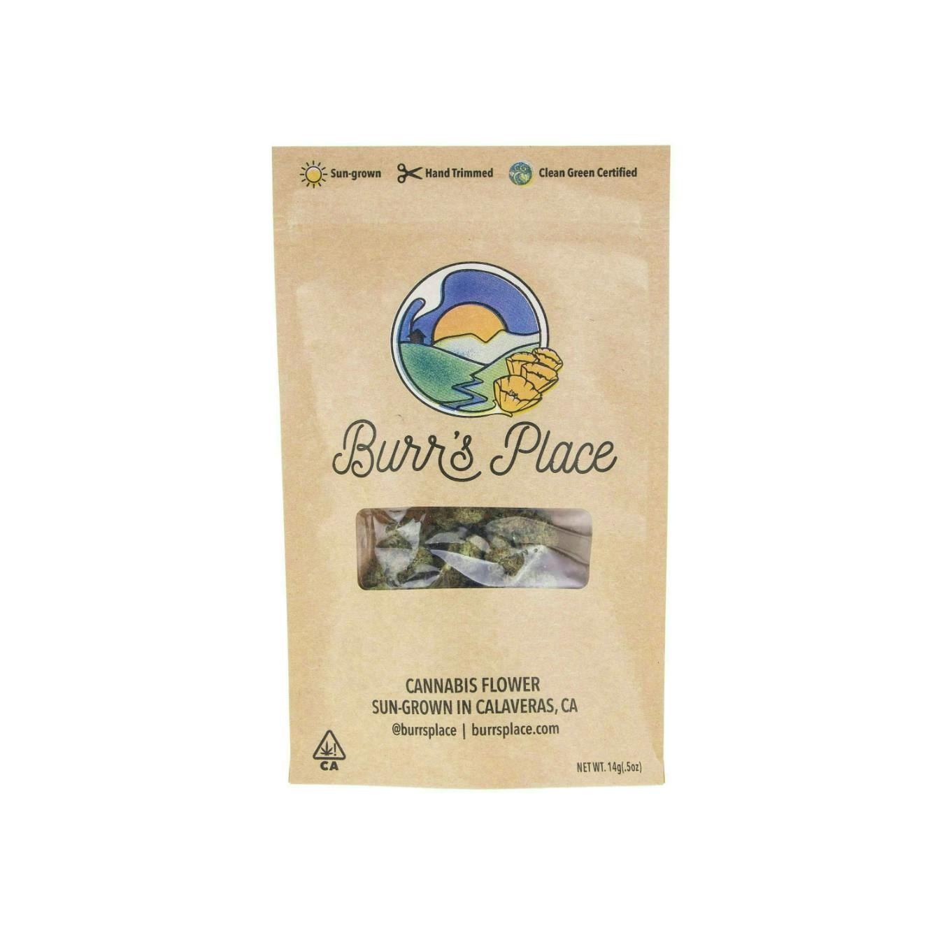 Burr's Place - Cap City Kush | Big Buds | 14g - 1