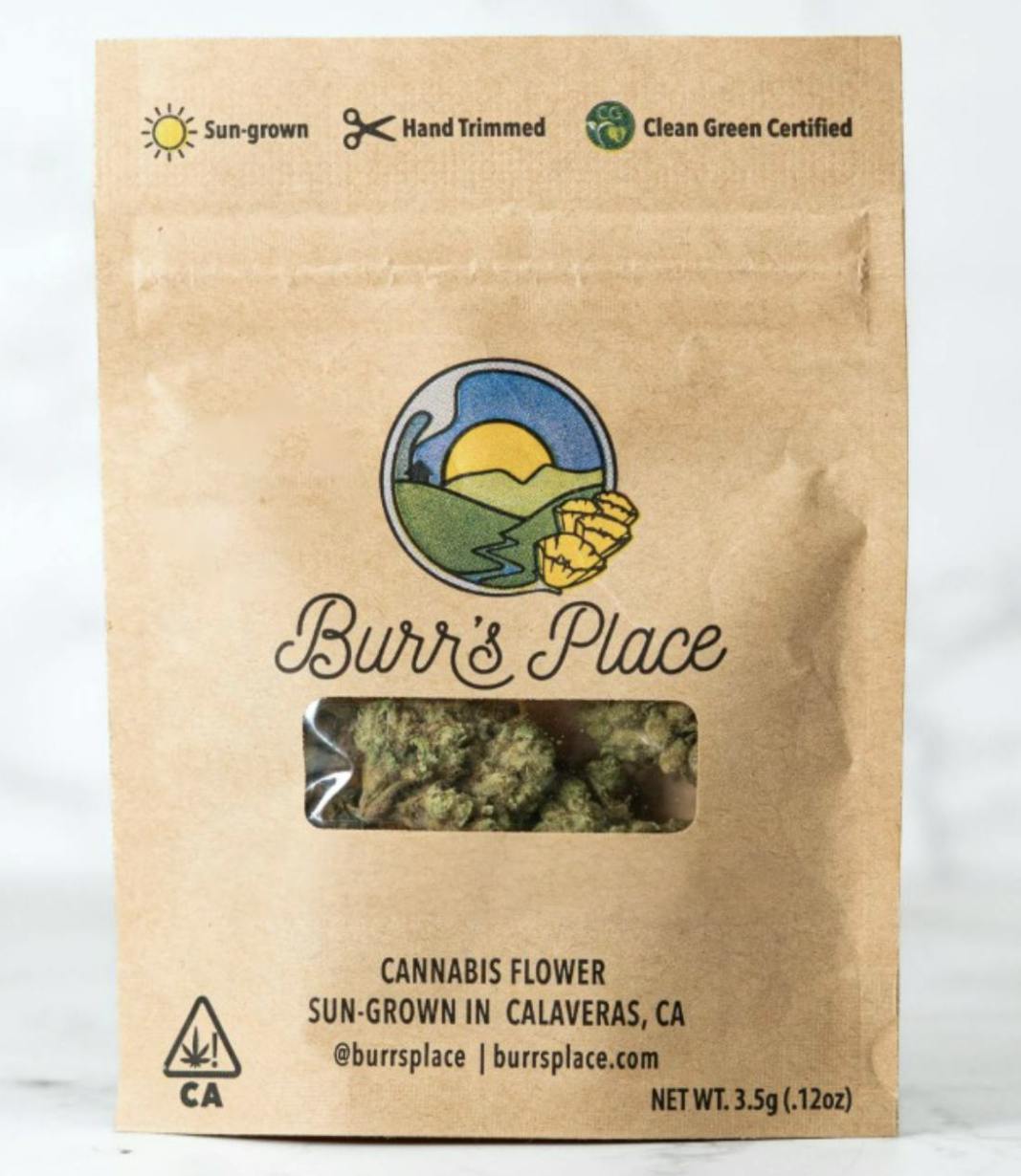 Burr's Place - Cap City Kush | Big Buds | 3.5g - 1