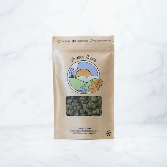 Burr's Place - Blueberry Muffin | Smalls | 3.5g - 1