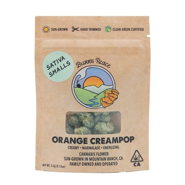 Burr's Place - Orange Creampop | Smalls | 3.5g - 1