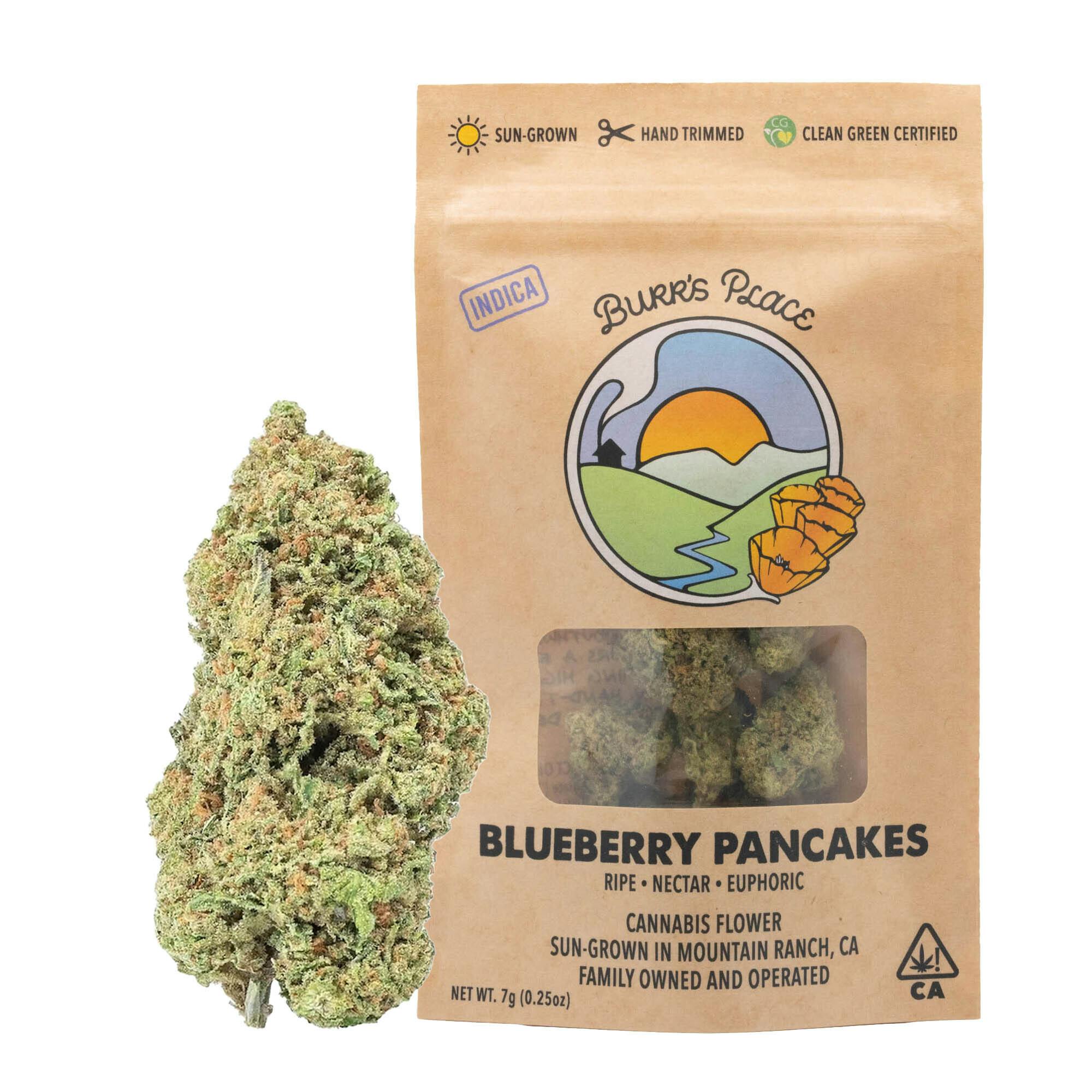Burr's Place - Blueberry Pancakes | Big Buds | 7g - 1