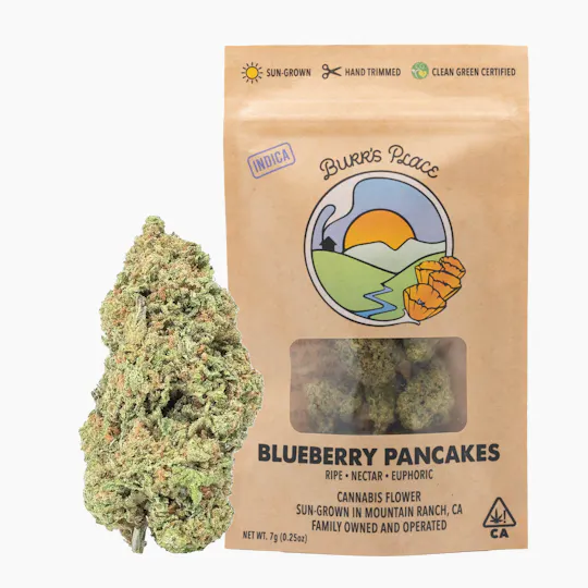 Burr's Place - Blueberry Pancakes | Big Buds | 7g - 1