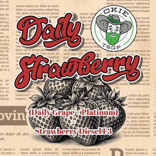 Okie TSGP - Daily Strawberry - Disposable Live Rosin Cart - 0.5g - 1