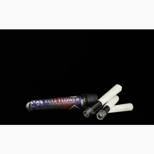 Tilted by Bellevue Cannabis Co - Toad Venom | Glass Tip Joint | 1.2g - 1
