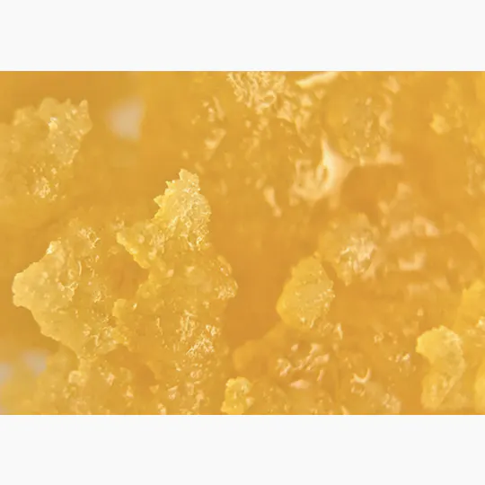 Gold Crown - Gold Crown x LegaSea Farms | Sugar 1g | Trop Cherry - 1