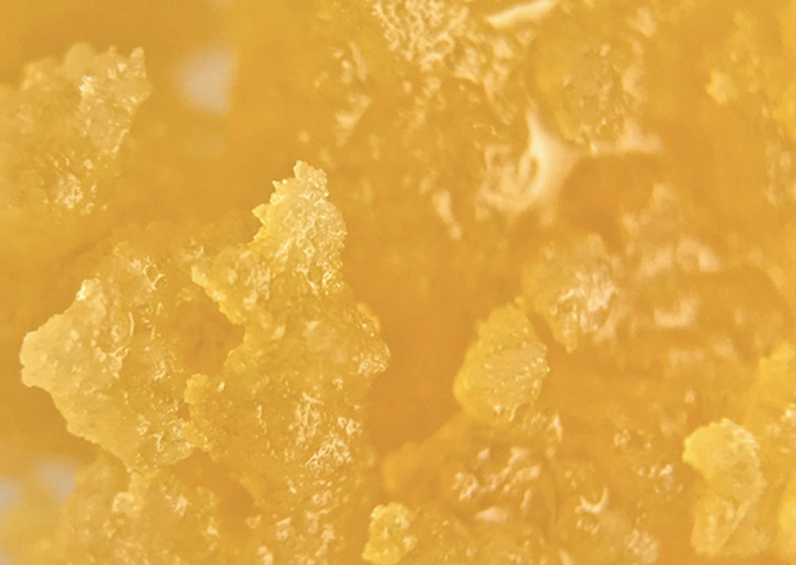 Gold Crown - Gold Crown x Peninsula Gardens | Sugar 1g | Pink Sours - 1