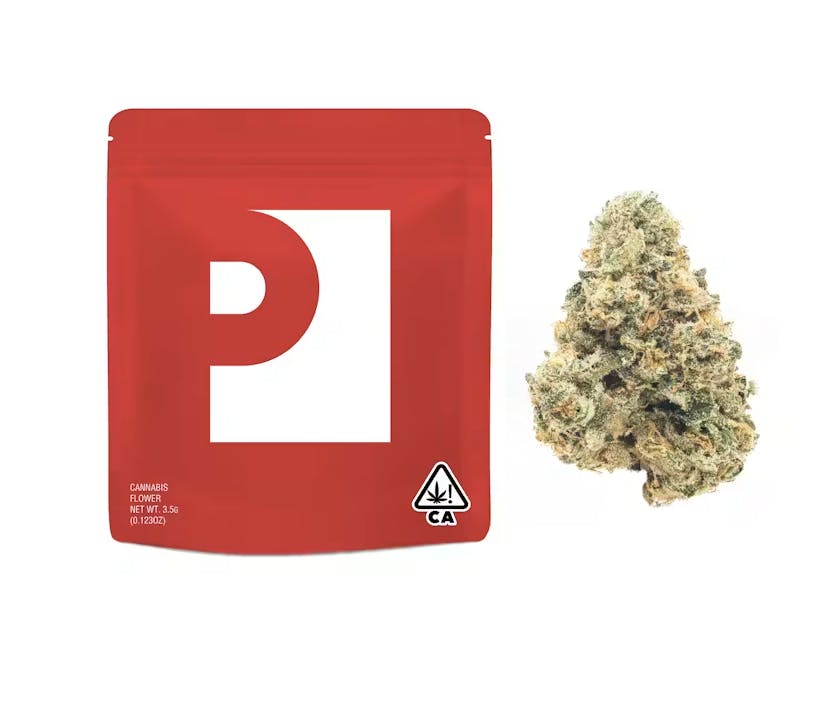 Preferred Gardens - Fundip | Big Buds | 3.5g - 1