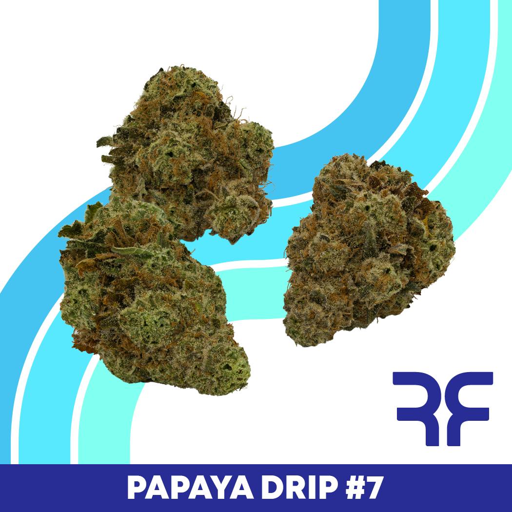REEF Cannabis - Papaya Drip #7 Small Buds - 1
