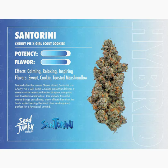Seed Junky - Santorini | Big Buds | 7g - 1