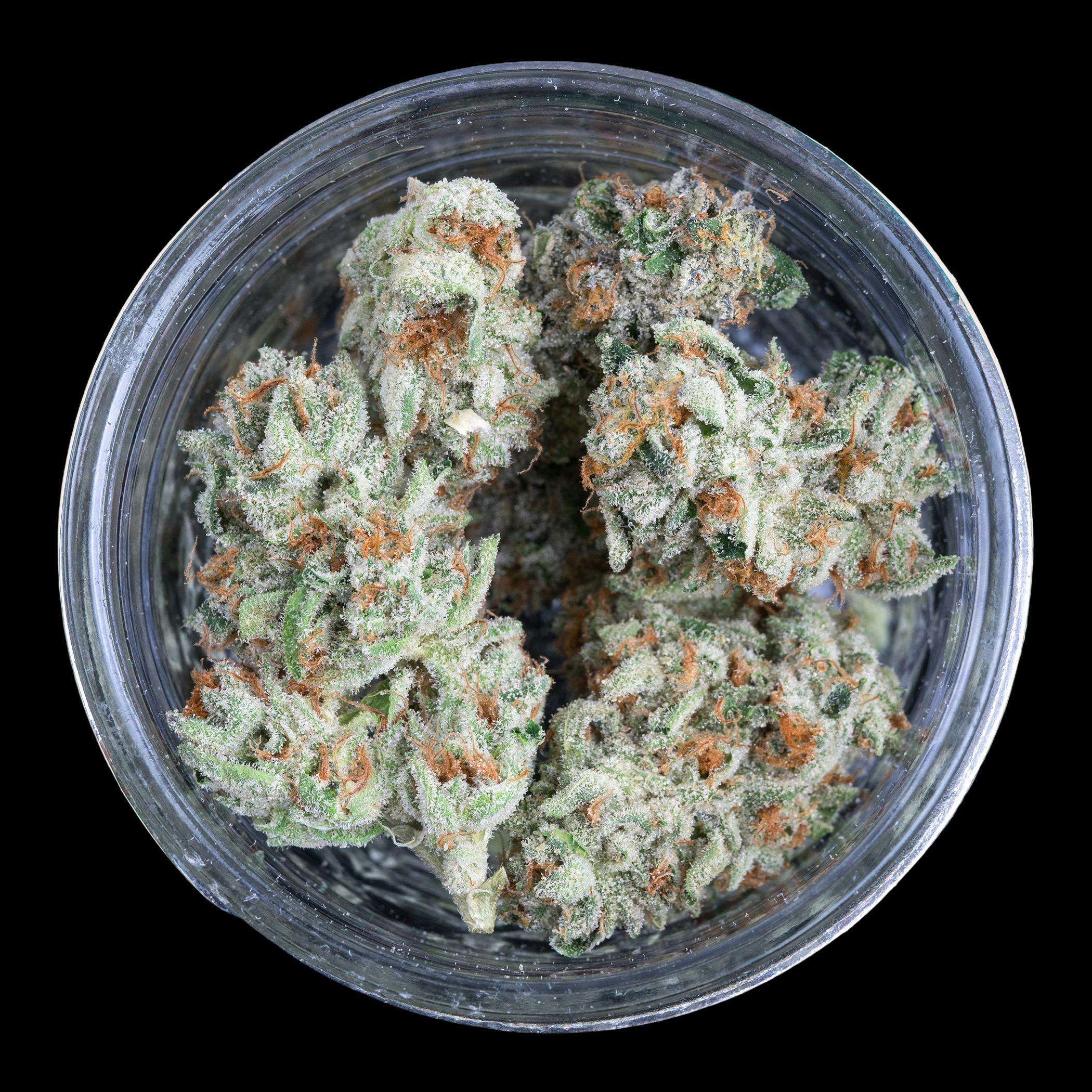 Indico - Marmalade - FRAKTAL Cannabis - 1