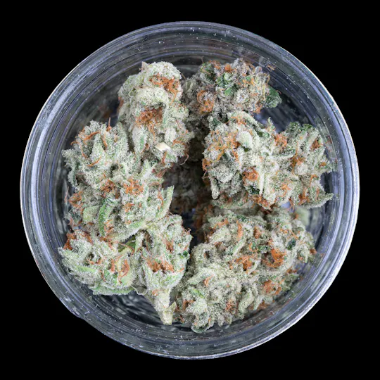 Indico - Marmalade - FRAKTAL Cannabis - 1