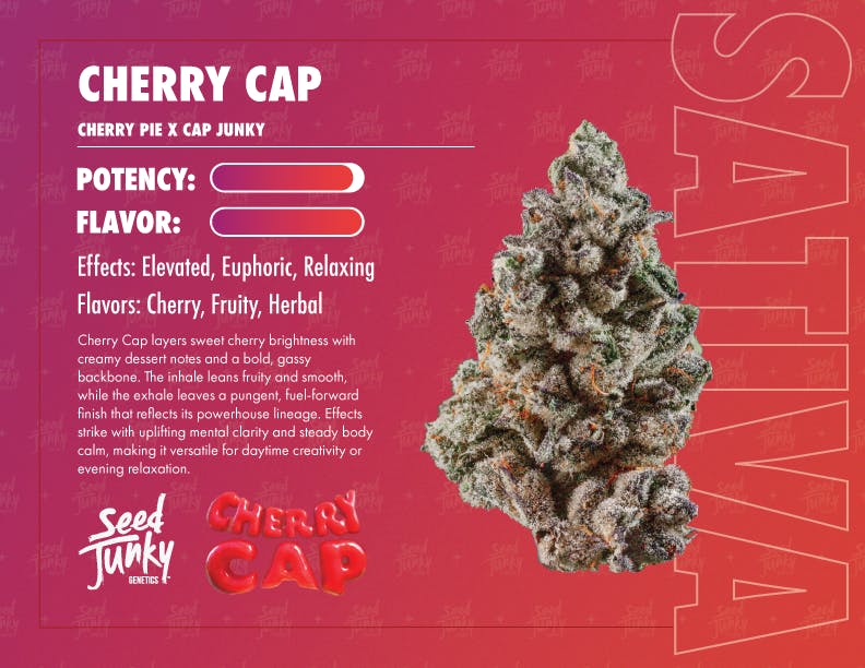 Seed Junky - Cherry Cap | Big Buds | 3.5g - 1