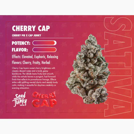 Seed Junky - Cherry Cap | Big Buds | 3.5g - 1