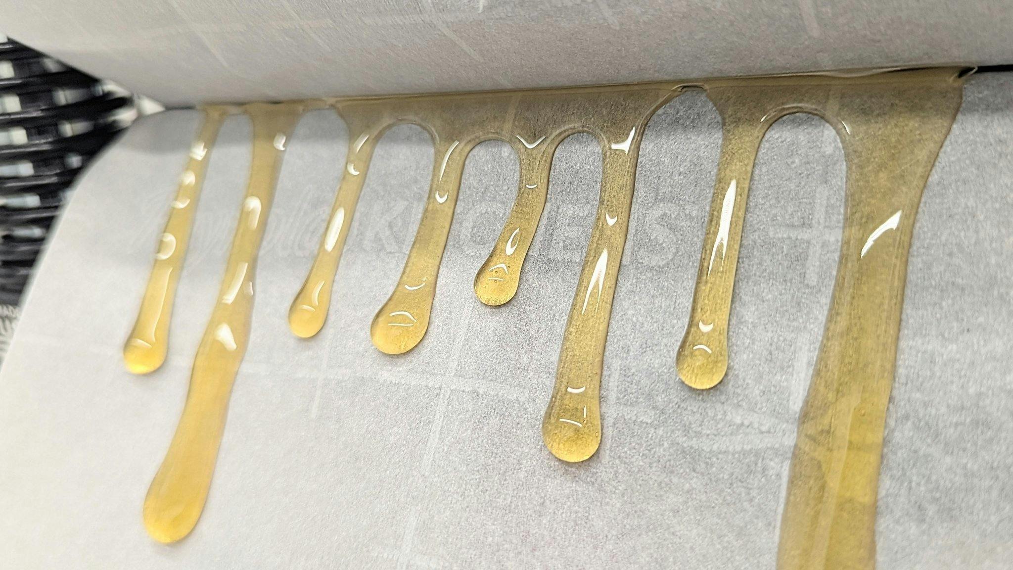 HIgh Top - Forbidden Blueprint | Solventless | Live Rosin | 1g - 1
