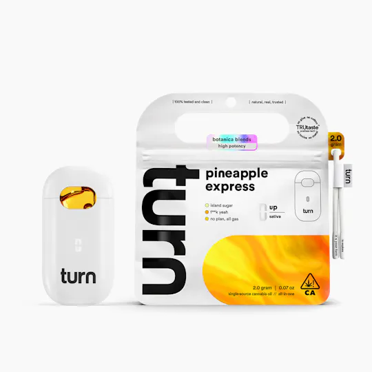 turn - Pineapple Express | TurnOne Disposable | 2g - 1