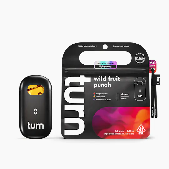 turn - wild fruit punch | turnone AIO disposable | 2g - 1