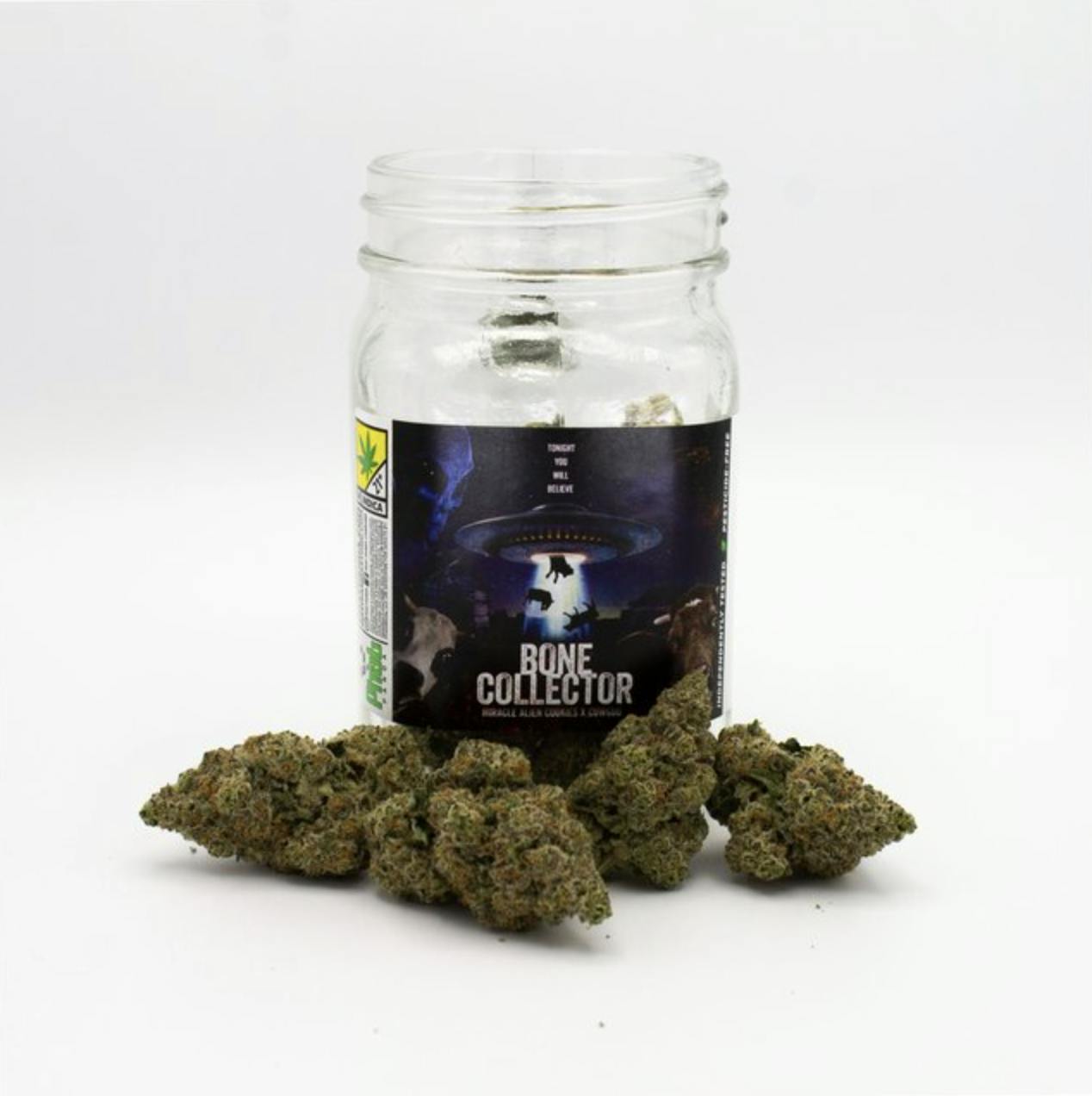 Phat Panda - Bone Collector | Big Buds | 7g - 1