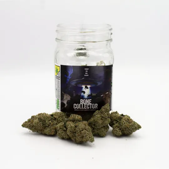 Phat Panda - Bone Collector | Big Buds | 7g - 1