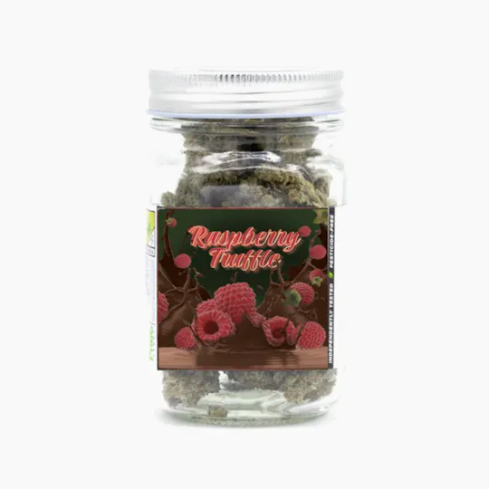 Phat Panda - Platinum | Raspberry Truffle | Big Buds | 3.5g - 1