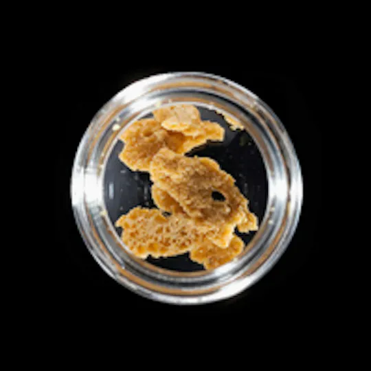 Surf Extracts - Surf Extracts | Afghani Pineapple | Live Resin Sugar | 1g - 1