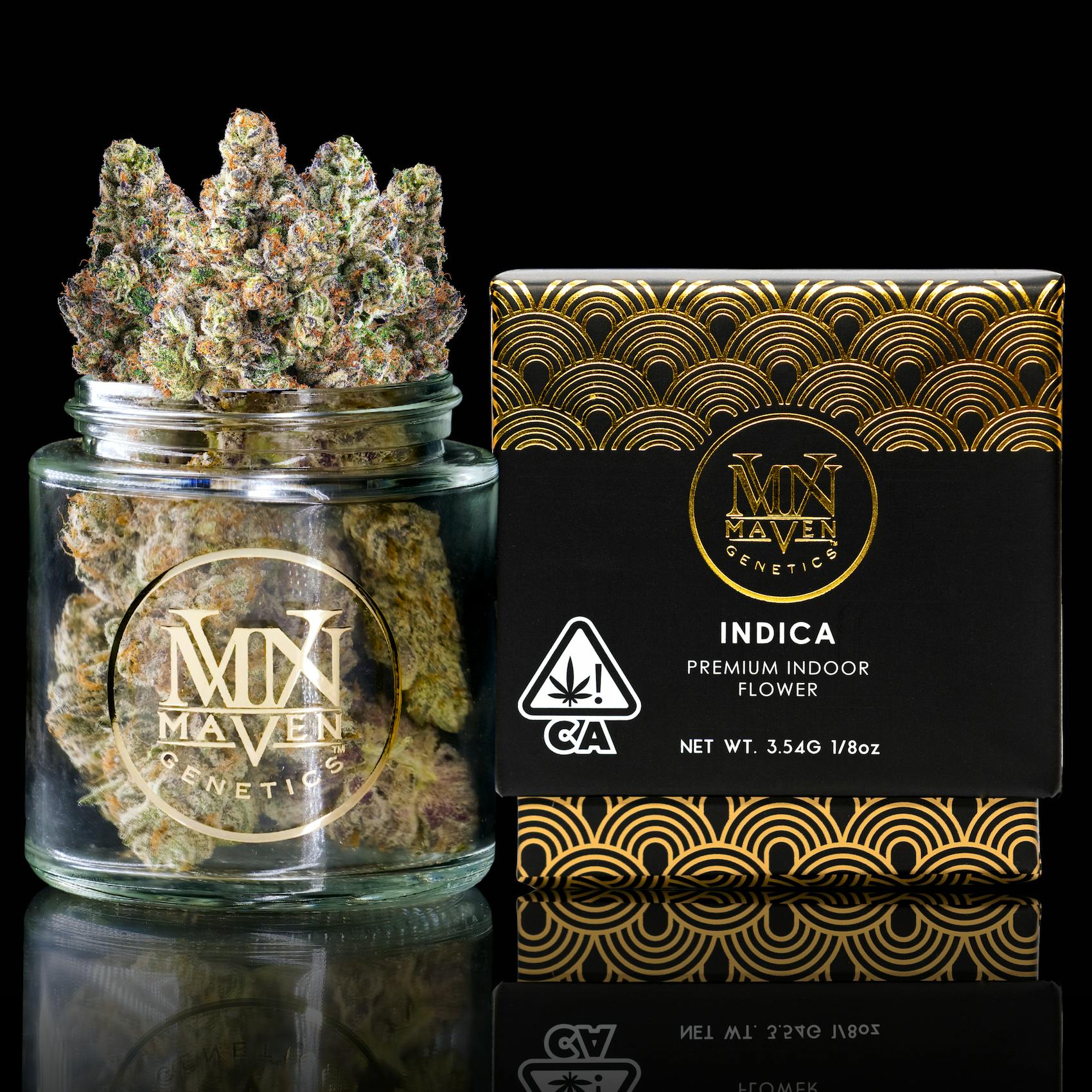 Maven Genetics - French Butter [3.5g] - 1