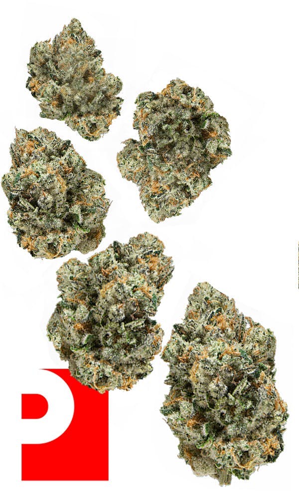 Preferred Gardens - Lazer Gun | Smalls Bag | 7g - 1