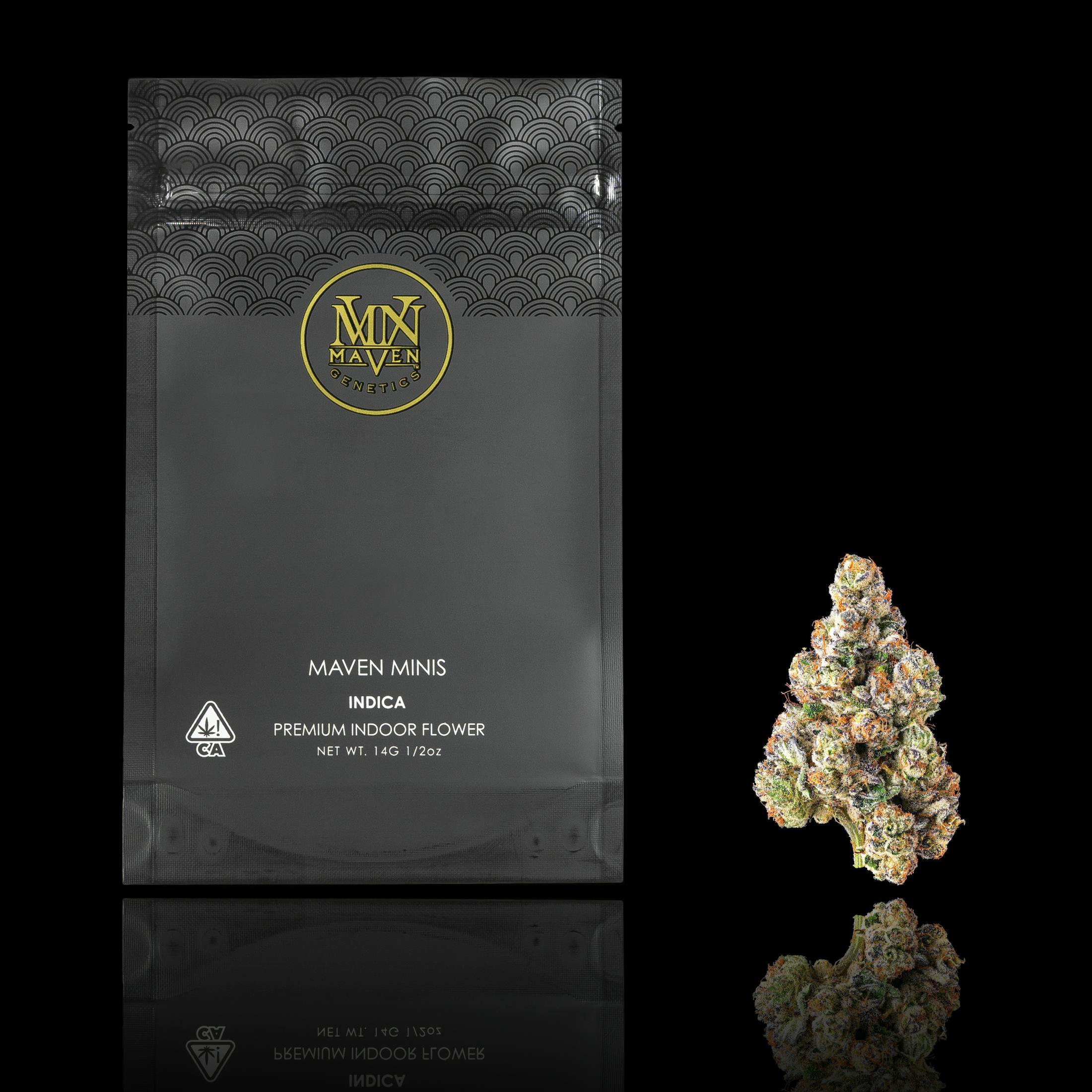 Maven Genetics - French Butter Maven Minis [14g] - 1