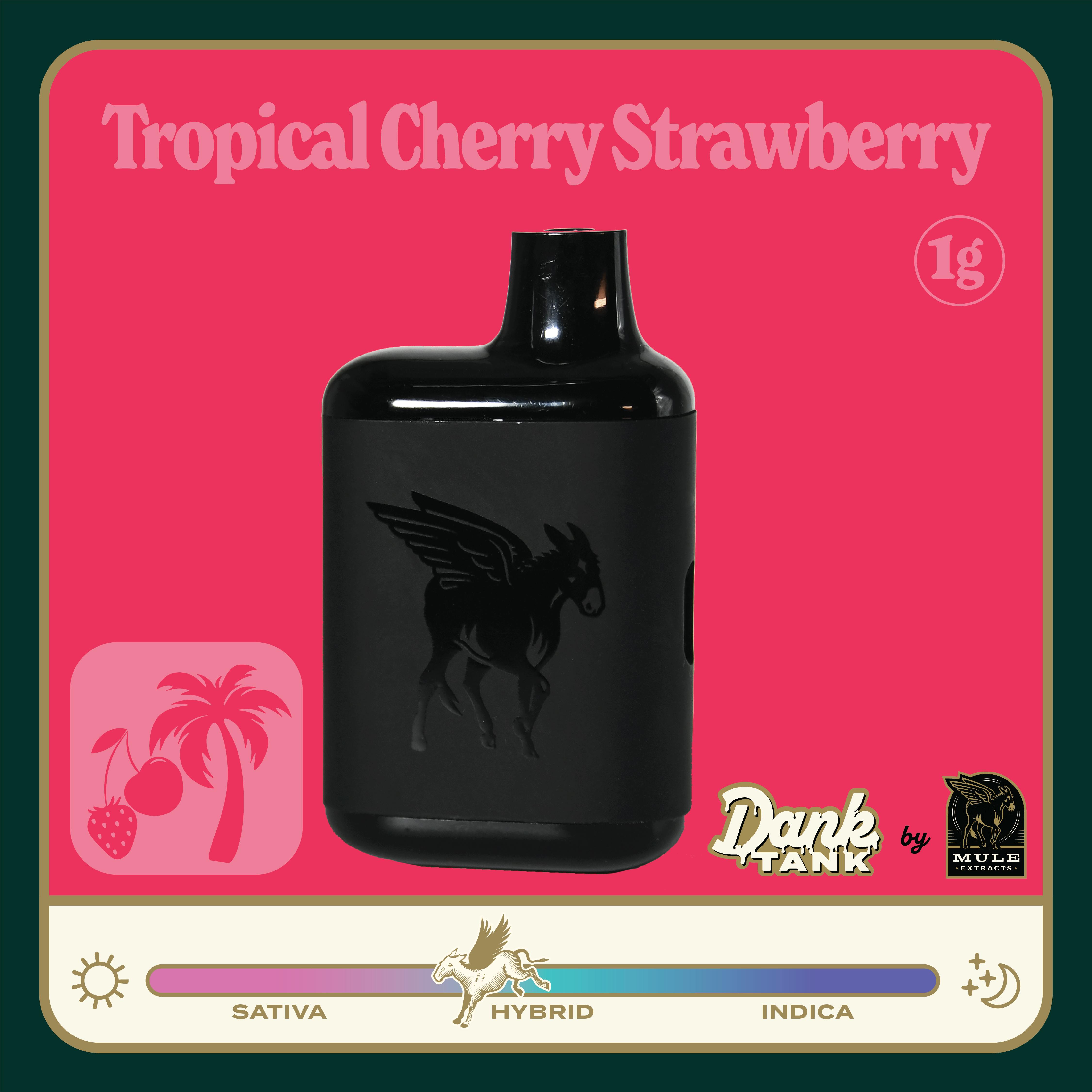 Mule Extracts - Mule Extracts | Tropical Cherry Strawberry | Dank Tank LR Disposable | 1g - 1