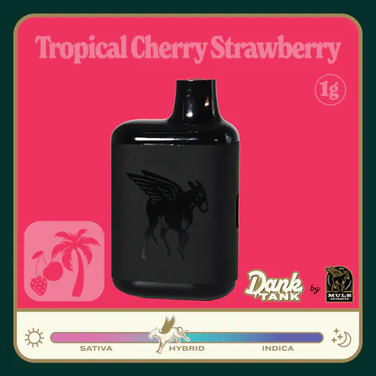 Mule Extracts - Mule Extracts | Tropical Cherry Strawberry | Dank Tank LR Disposable | 1g - 1