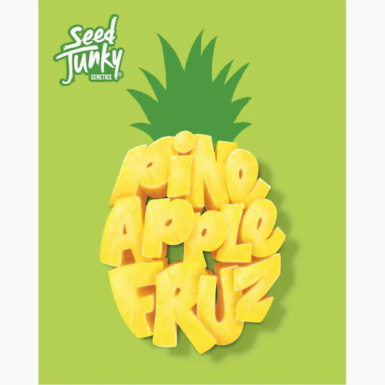 Seed Junky - Pineapple Fruz | Big Buds | 7g - 1