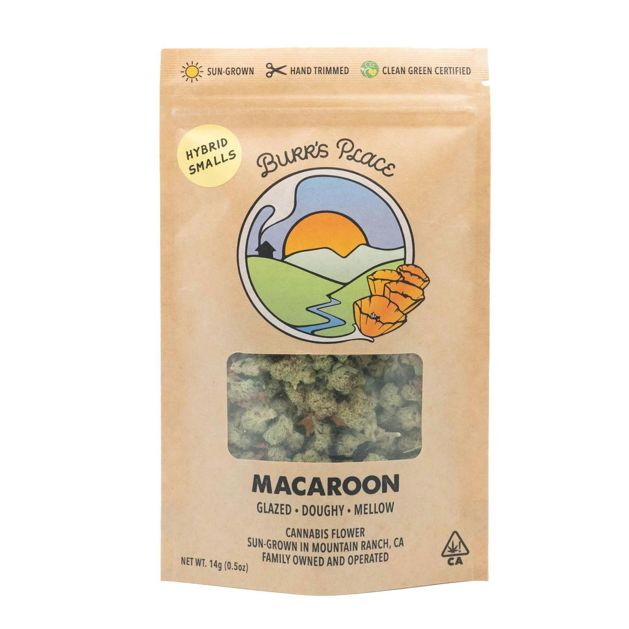 Burr's Place - Macaroon | Smalls | 14g - 1