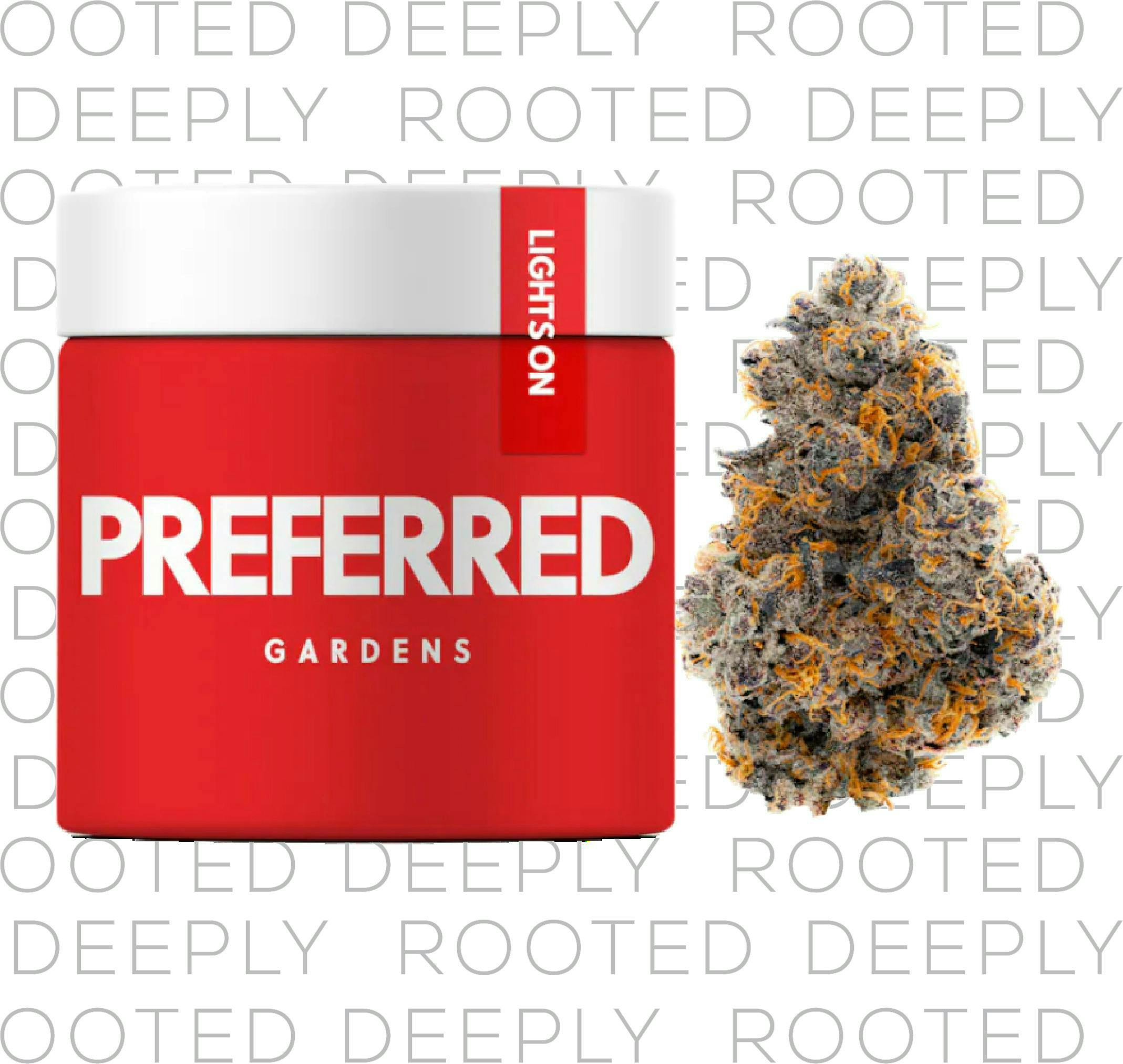 Preferred Gardens - Perm Lee | Big Buds Jar | 3.5g - 1