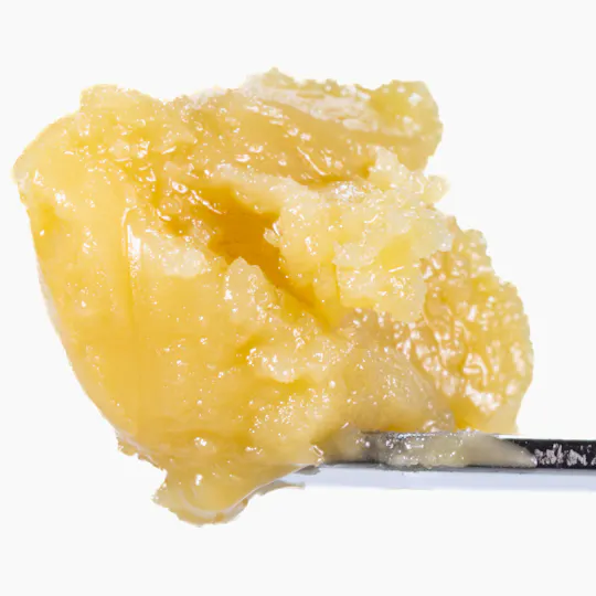 West Coast Cure - Honey Bananas x Papaya - 1G Live Rosin Cold Cure Badder - Tier 2 - 1
