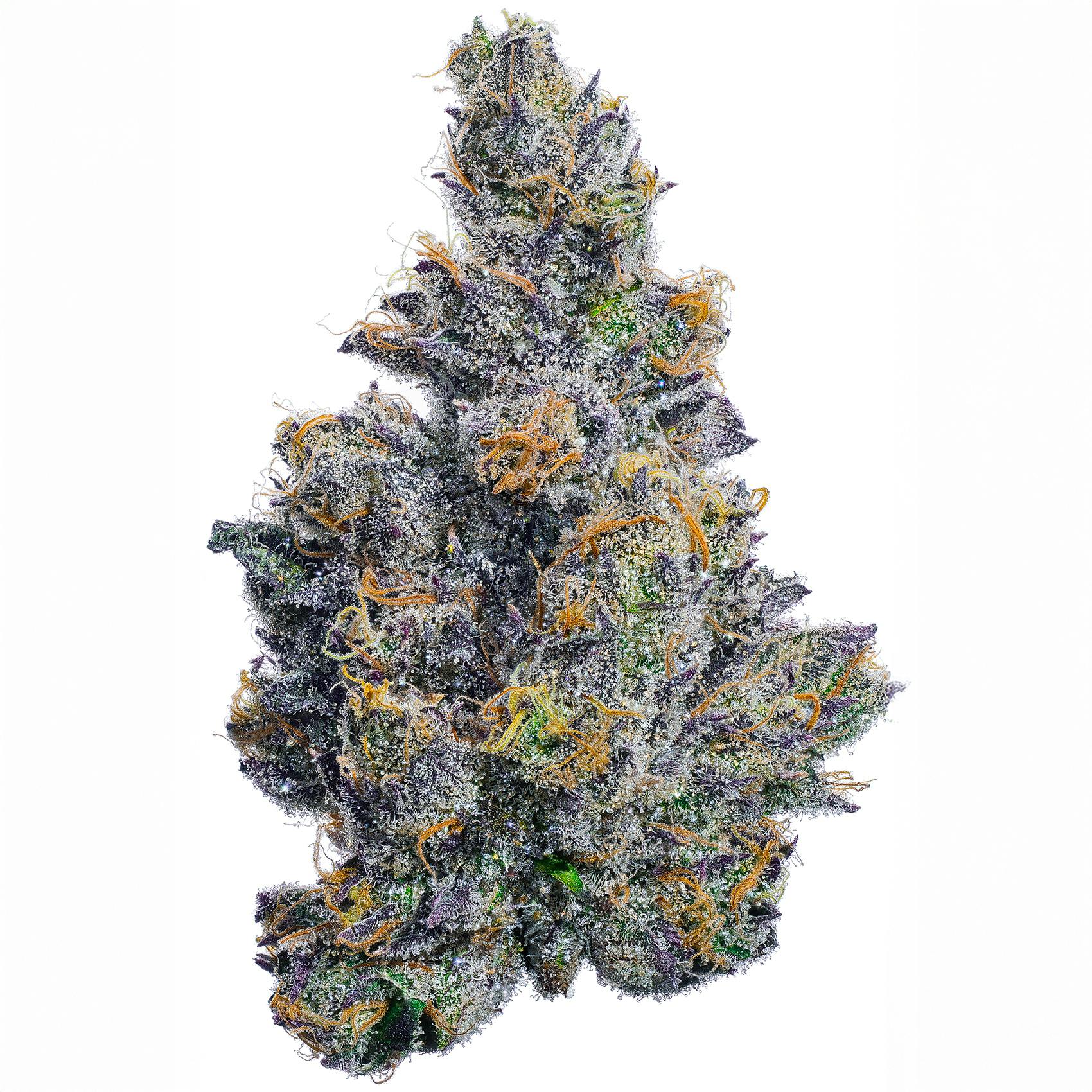 Fig Farms - Fig Farms | Beach Cruiser | Big Buds - 1