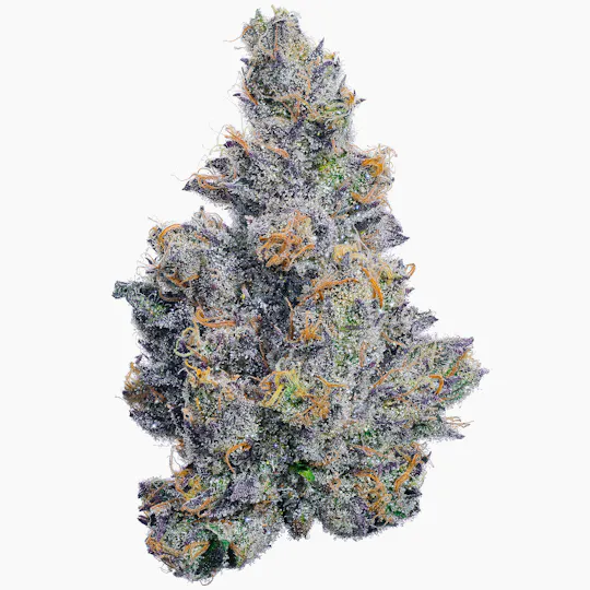 Fig Farms - Fig Farms | Beach Cruiser | Big Buds - 1