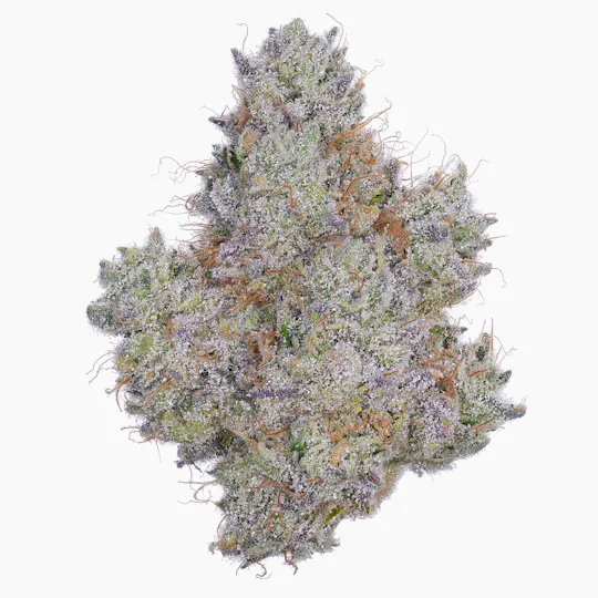 Fig Farms - Fig Farms | Hijinx | Big Buds - 1