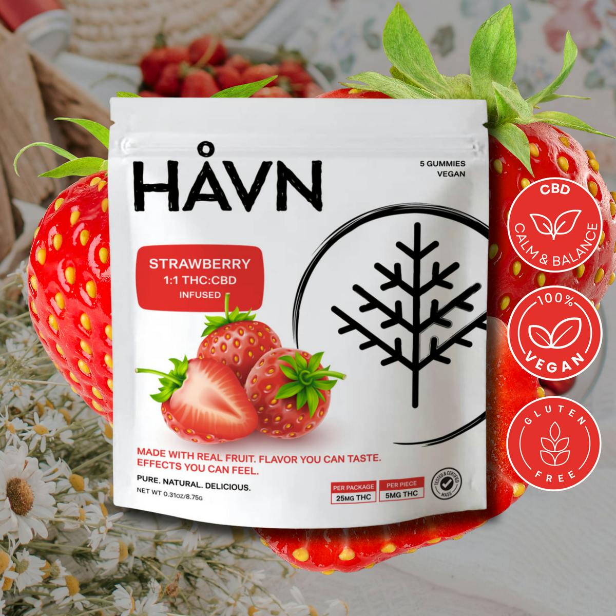 HAVN - Strawberry 1:1 THC:CBD Gummies | 25mg | 5ct | 5mg/ea - 1