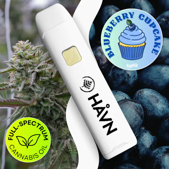 HAVN - Blueberry Cupcake | Full Spectrum Disposable | 1g - 1